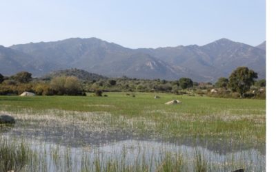 Bloc de microxerrades i Taula Rodona – Noves tecnologies i coneixement científic per a millorar l’agricultura