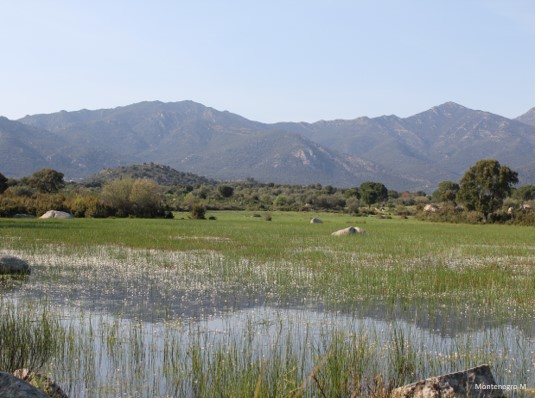 Bloc de microxerrades i Taula Rodona – Noves tecnologies i coneixement científic per a millorar l’agricultura