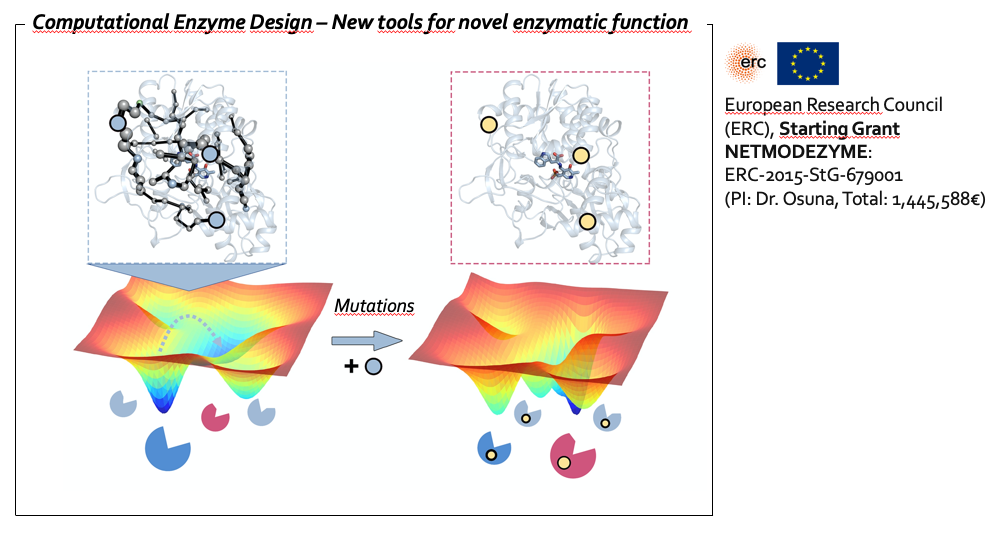 Network models for the computational design of proficient enzymes
