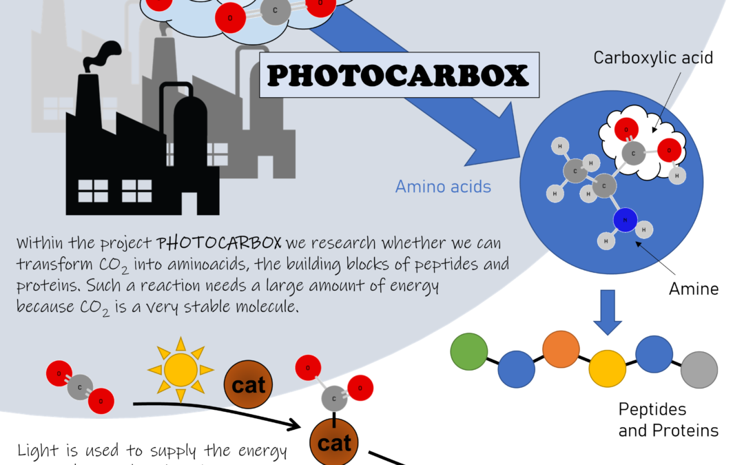 Carbon Dioxide as a Raw Material for the Production of Amino Acids