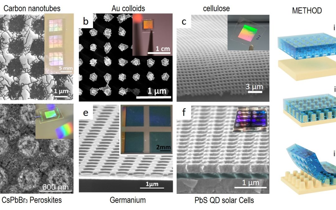 Photonic Electrodes for Enhanced Light Matter Interaction in Optoelectronic Devices