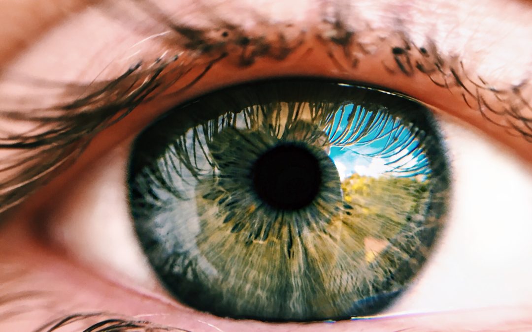 Investigar las bases moleculares de las enfermedades es el primer paso hacia la cura: el ejemplo del gen de retinosis pigmentaria CERKL
