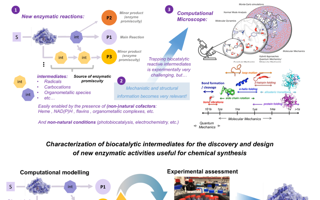 Computational characterization of enzymatic reactive intermediates for the discovery and design of new biocatalytic activities