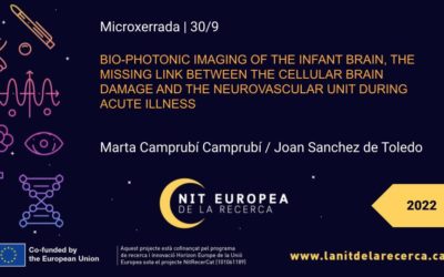 Bio-photonic imaging of the infant brain