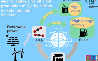 Advanced simulations in electrocatalysis for efficient production of C3+ by carbon dioxide reduction