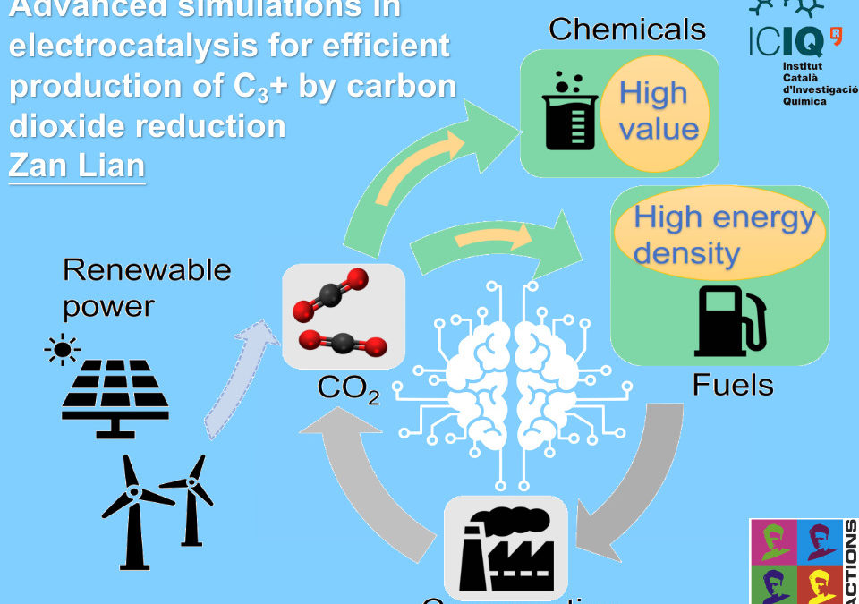 Advanced simulations in electrocatalysis for efficient production of C3+ by carbon dioxide reduction