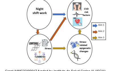 Cardiovascular health among night shift workers and stress-related pathways