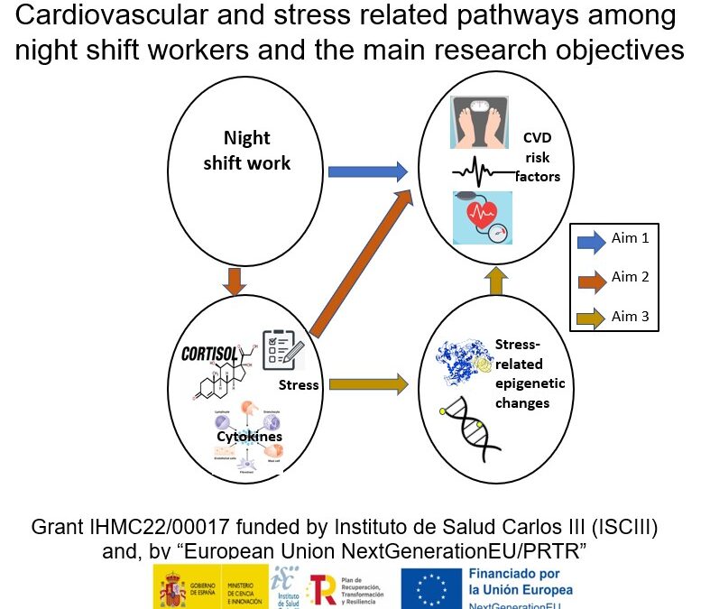 Cardiovascular health among night shift workers and stress-related pathways