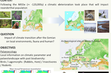 INTERWEAVE: Impacts of climate variations during the last interglacial in Western Europe using small vertebrates