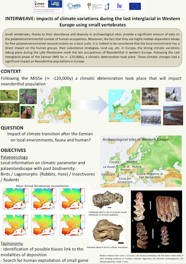 INTERWEAVE: Impacts of climate variations during the last interglacial in Western Europe using small vertebrates