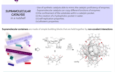 Next-generation chemical synthesis by means of supramolecular catalysis