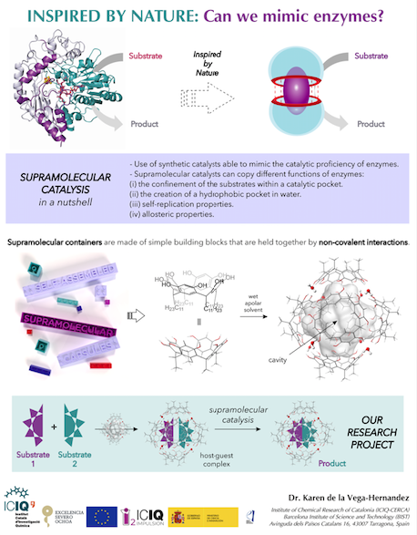 Next-generation chemical synthesis by means of supramolecular catalysis