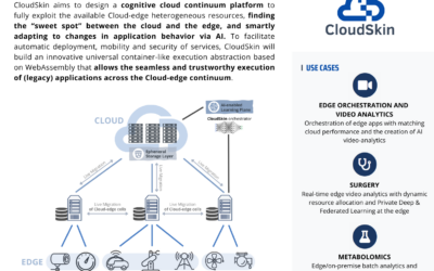 CloudSkin: Adaptive virtualization for AI-enabled Cloud-edge Continuum