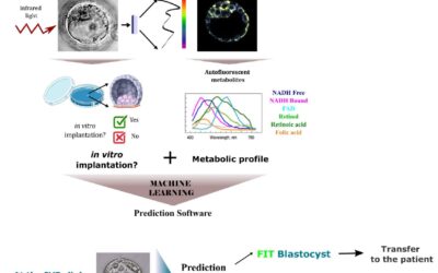 HYLIGHT (Hyperspectral imaging for embryo selection)