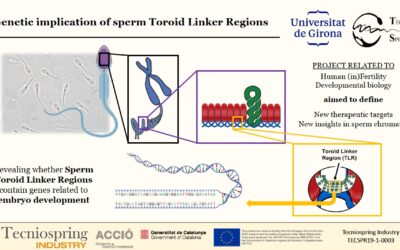 Genetic implication of sperm Toroid Linker Regions