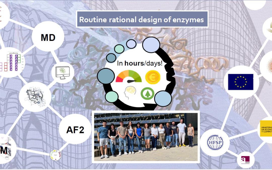 Fast yet accurate routine rational design of novel enzymes