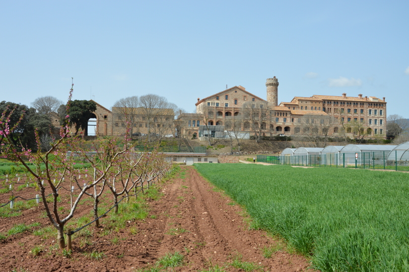 Portes Obertes – IRTA (TORRE MARIMON)