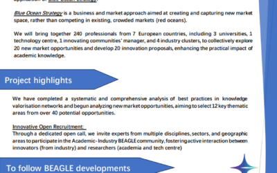 BLUE OCEANS STRATEGY FOR VALUE CREATION (BEAGLE)