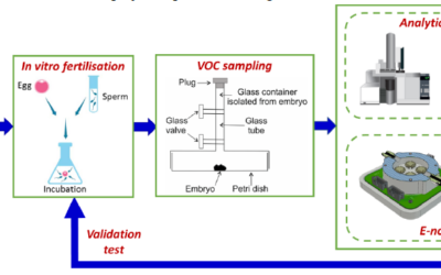 Volatolomic approaches for improving success rates in assisted reproductive technology