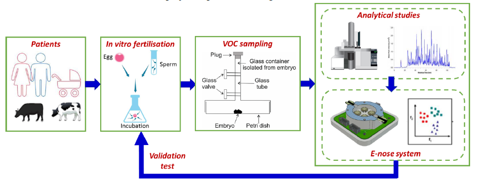 ARTVOC_infgraph - Eduard Llobet Valero