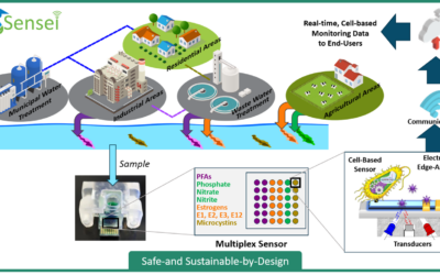 Biosensor-Based Diagnostic Platform Enabling Real-Time Monitoring of Existing and Emerging Pollutants