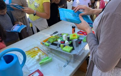 I si la ciència ja comença a l’escola?