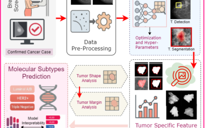 A Non-invasive Way to Classify Tumor Molecular Subtypes Using Digital Mammograms