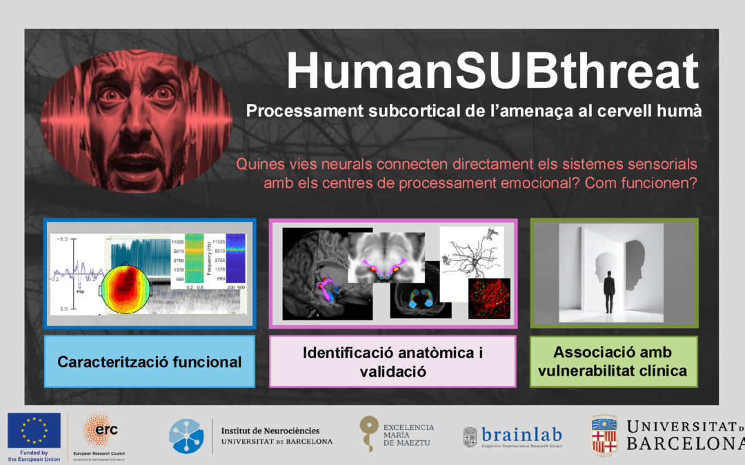 HumanSUBthreat – Uncovering the human subcortical pathway for auditory threat detection