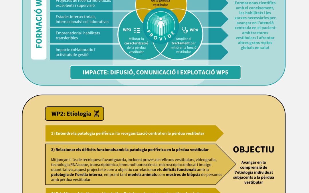 PROVIDE – Patient-centered care for vestibular disorders / Sub-projecte 2: Relació entre els dèficits funcionals i la patologia perifèrica (neurosensorial) en la pèrdua vestibular