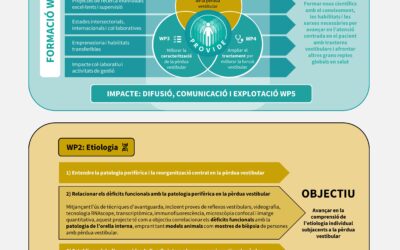 PROVIDE – Patient-centered care for vestibular disorders / Sub-projecte 2: Relació entre els dèficits funcionals i la patologia perifèrica (neurosensorial) en la pèrdua vestibular