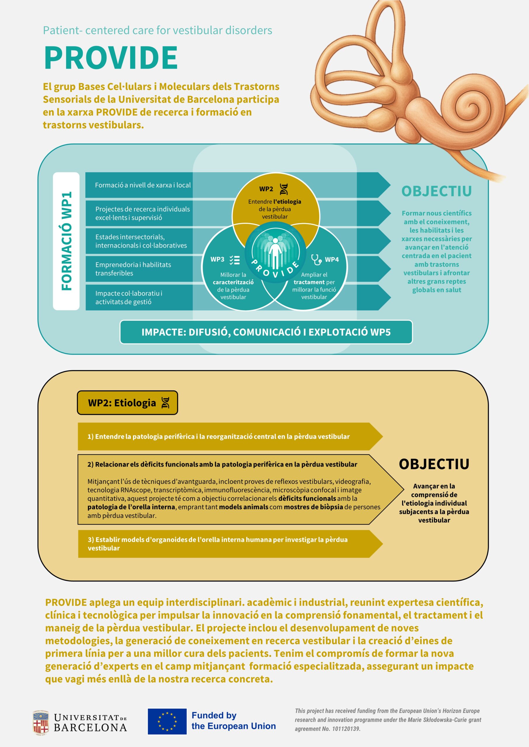 Infografia NitCiència Provide v3 - Jordi Llorens