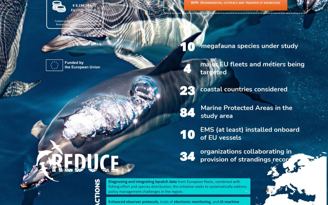 REDUCE project “REDUCING BYCATCH OF THREATENED MEGAFAUNA IN THE EAST CENTRAL ATLANTIC”