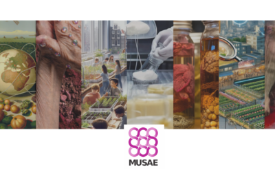 MUSAE: a human-centred factory for a future technological sustainable development