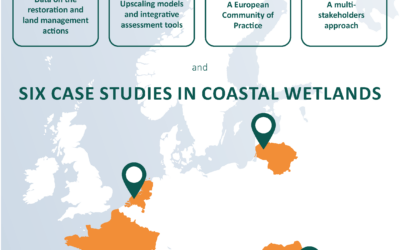 Modelling restoration of wetlands for carbon pathways, climate change mitigation and adaptation, ecosystem services, and biodiversity co-benefits (RESTORE4Cs)