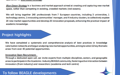 Blue Ocean Strategy for Value Creation