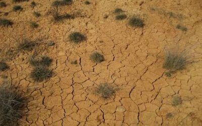 Bloc de Xerrades Científiques al Casal de Barri El Maresme: Quina calor! Què diu la ciència de l’aigua i el clima a Catalunya