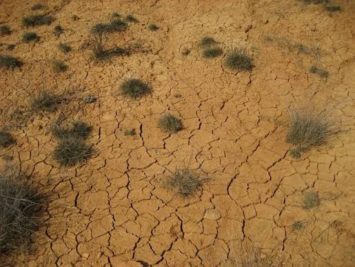 Bloc de Xerrades Científiques al Casal de Barri El Maresme: Quina calor! Què diu la ciència de l’aigua i el clima a Catalunya