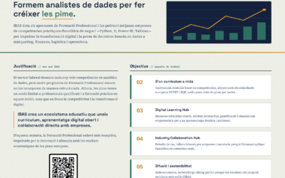 Innovative Business Analitics for SMEs