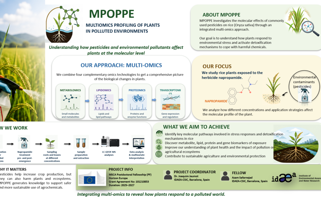 MPOPPE