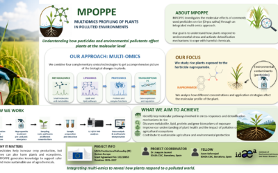 MPOPPE