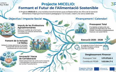 MICELIO